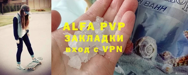 гашик Бородино