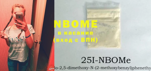 гашик Бородино